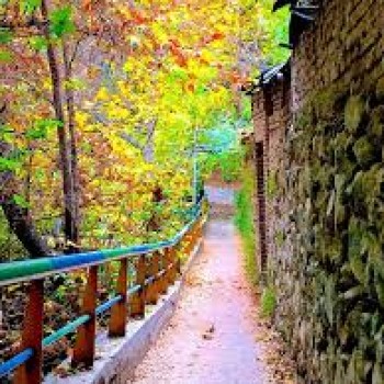 محله درکه