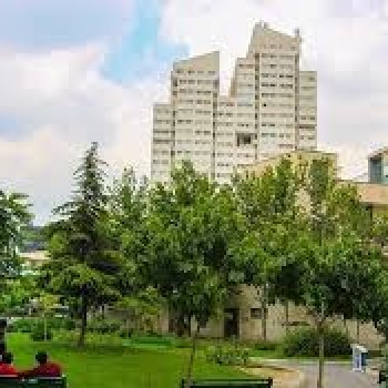محله باغ فیض